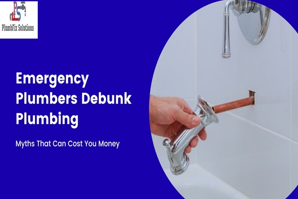 Emergency Plumbers Debunk Plumbing Myths That Can Cost You Money